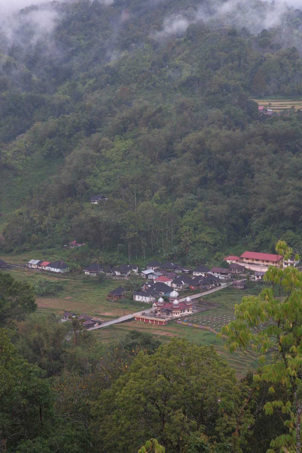 a small village nestled in the middle of a lush green forest