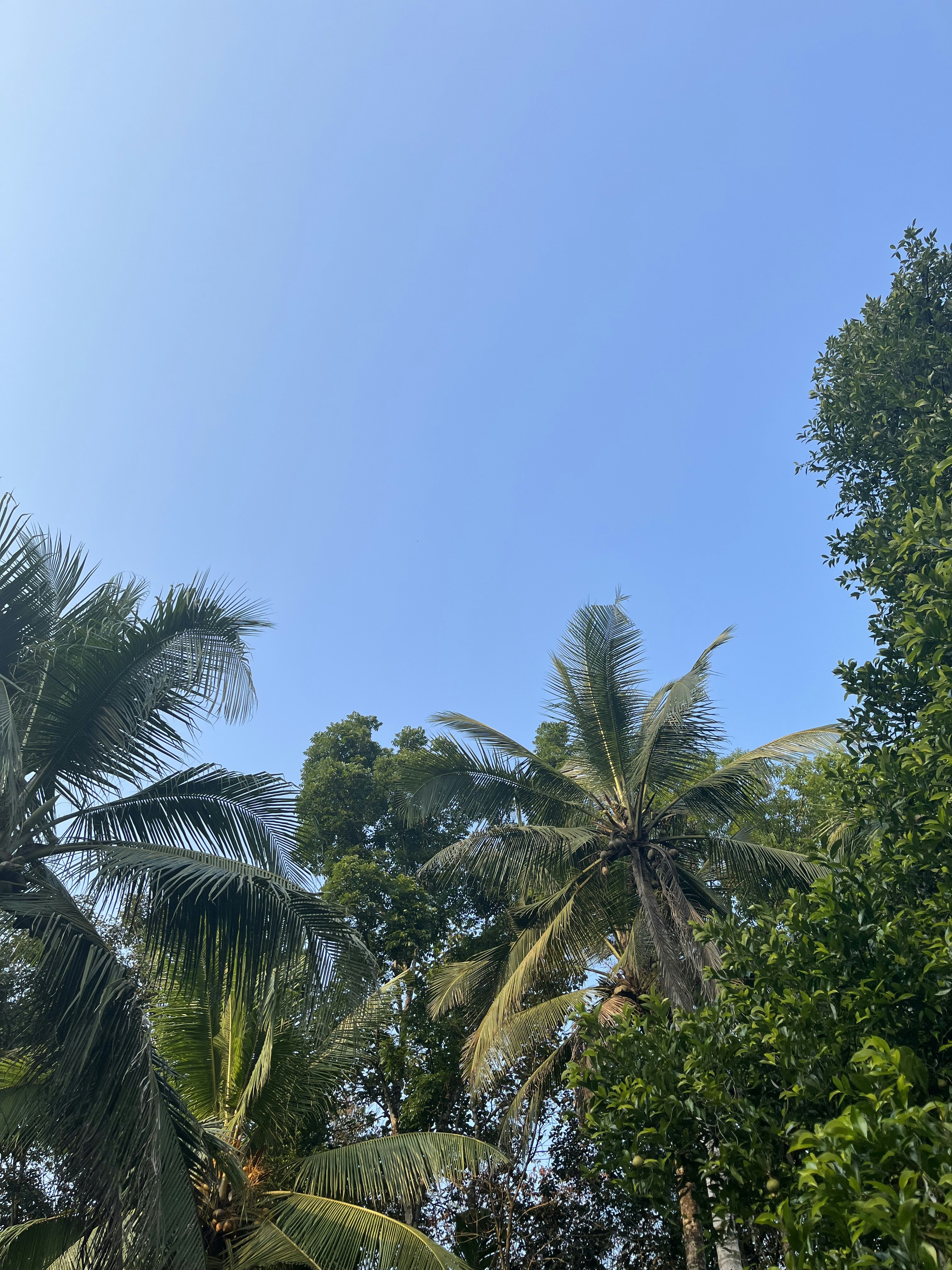 Photo by rmartin0042