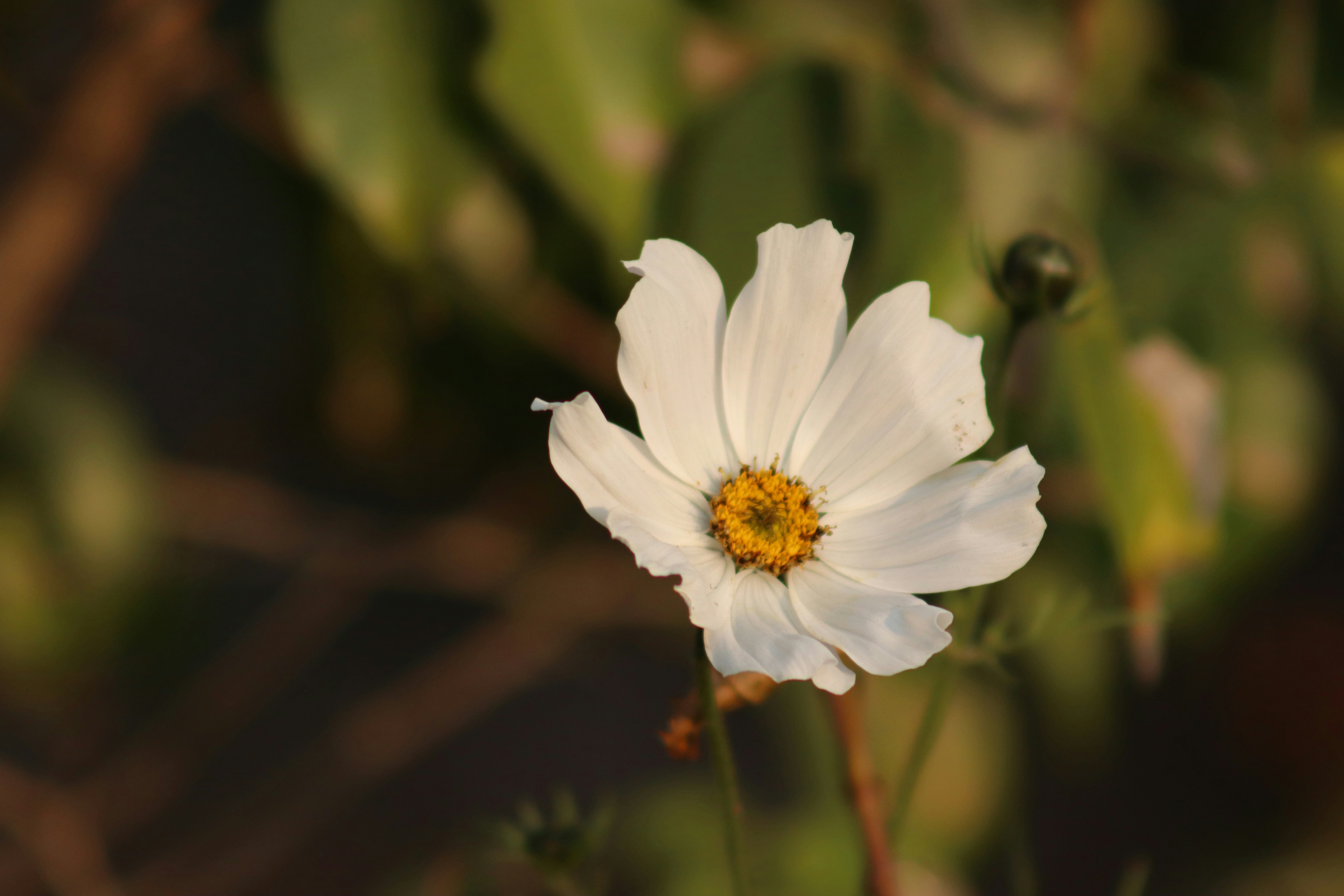 Photo by drphotographer152