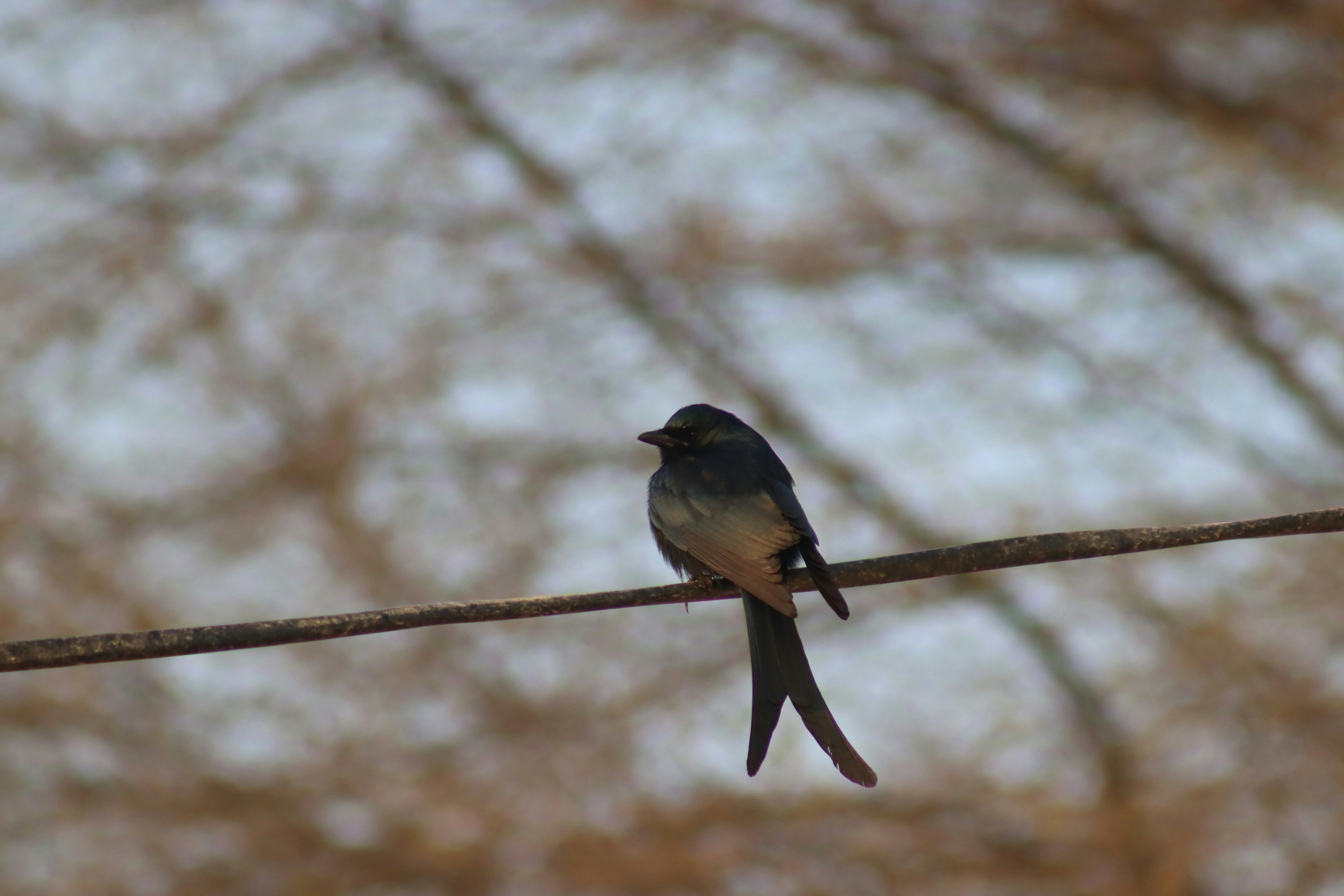 Photo by drphotographer152