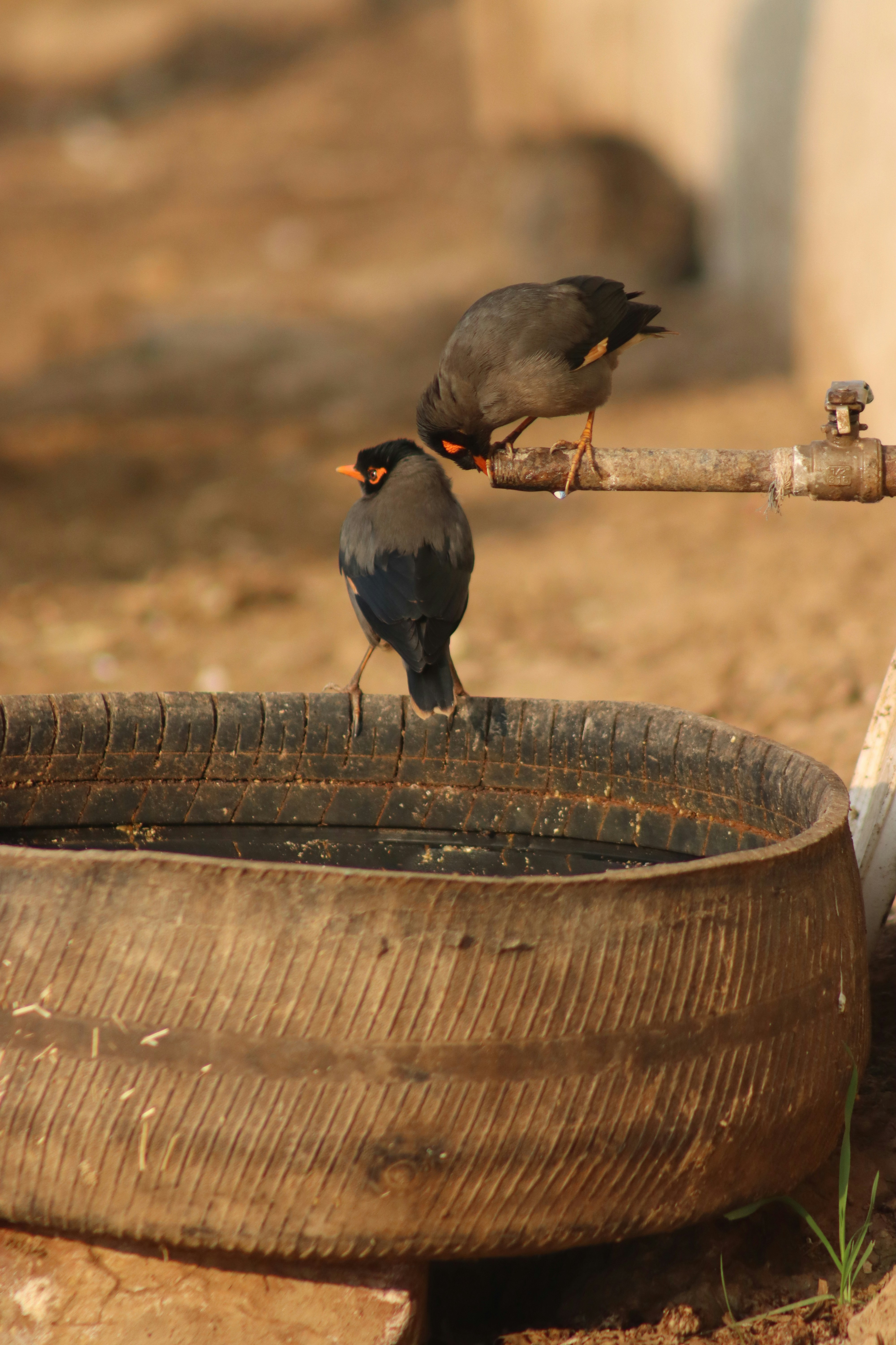Choose from a curated selection of flower backgrounds. Always free on Unsplash.
