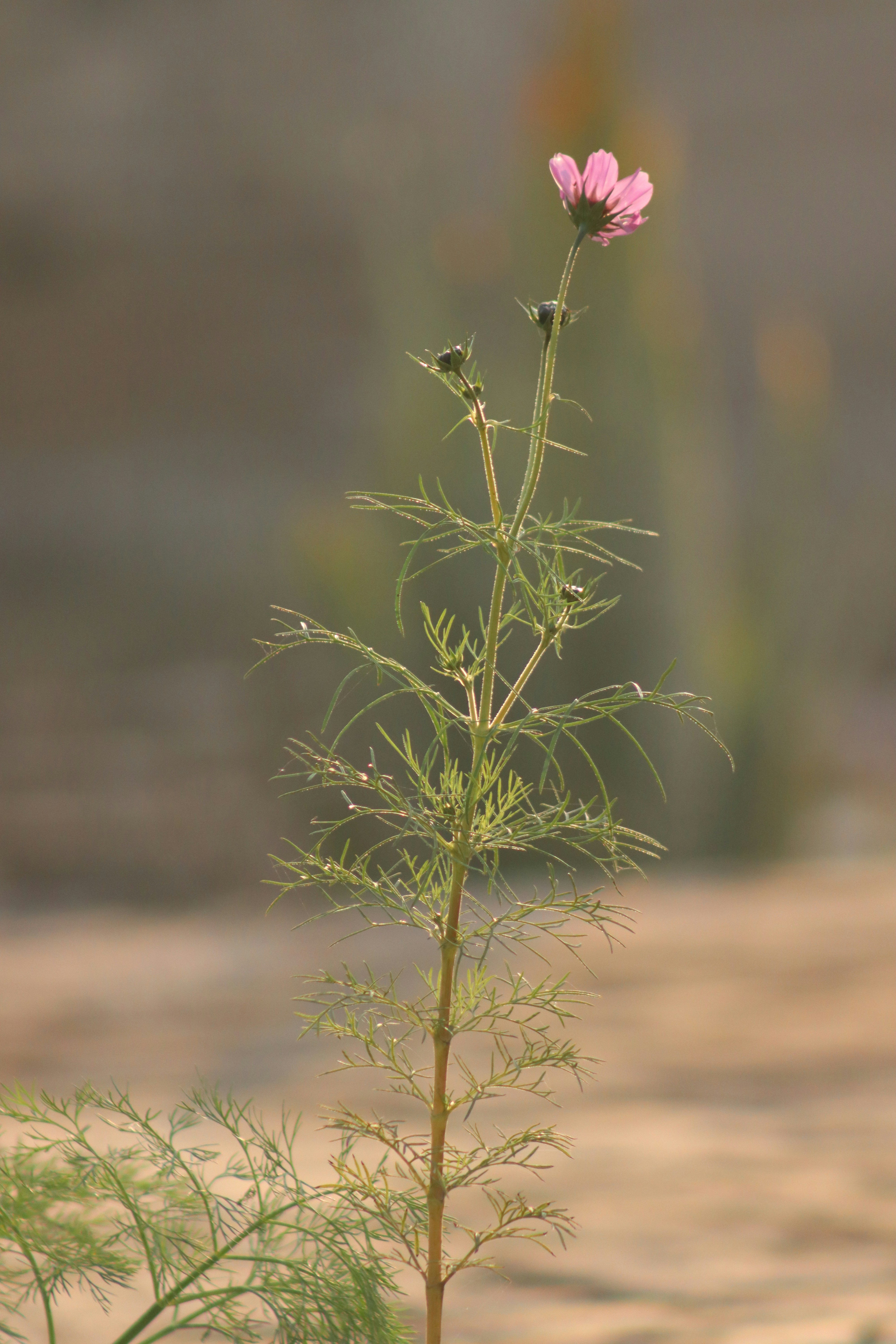 Photo by drphotographer152