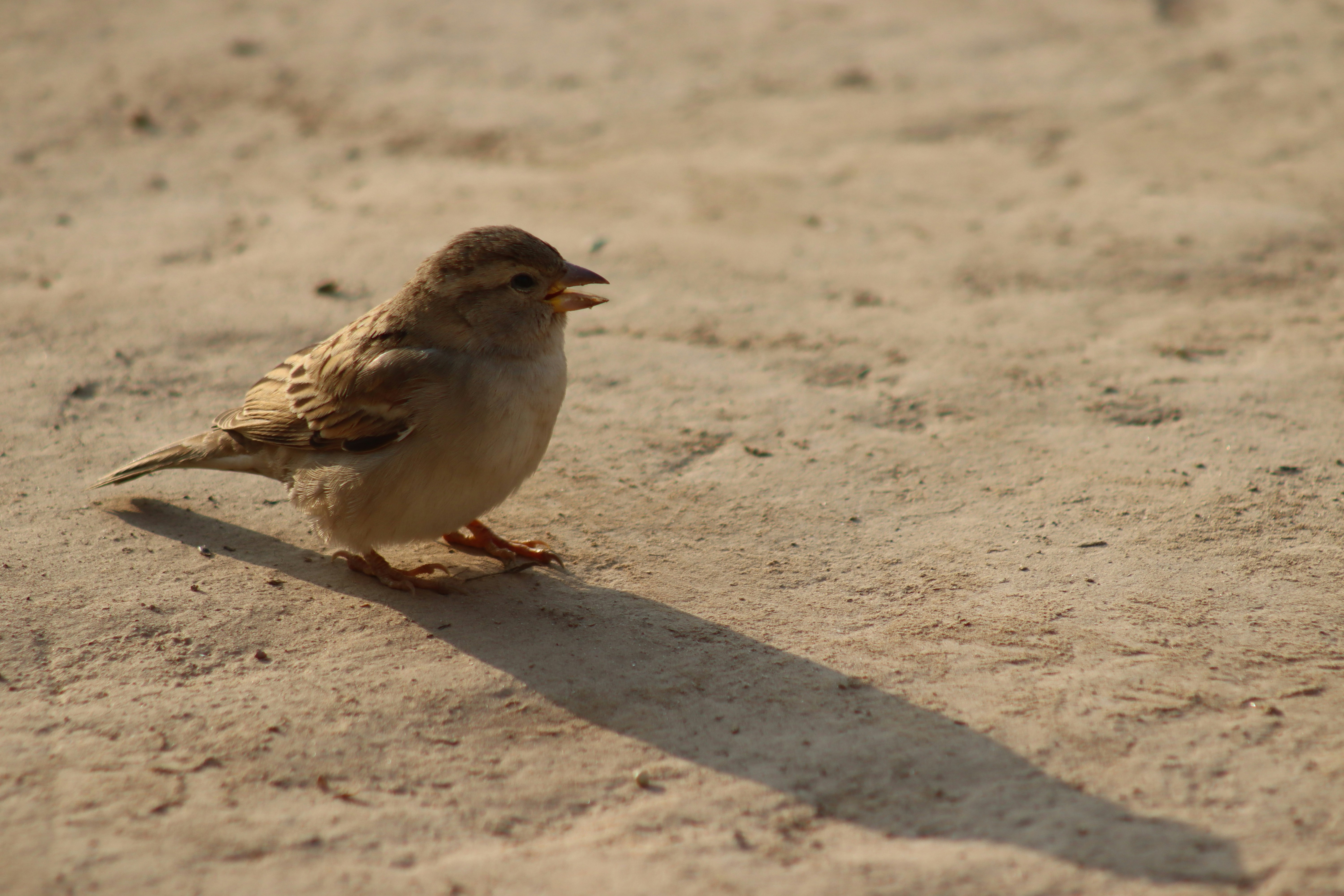 Photo by drphotographer152