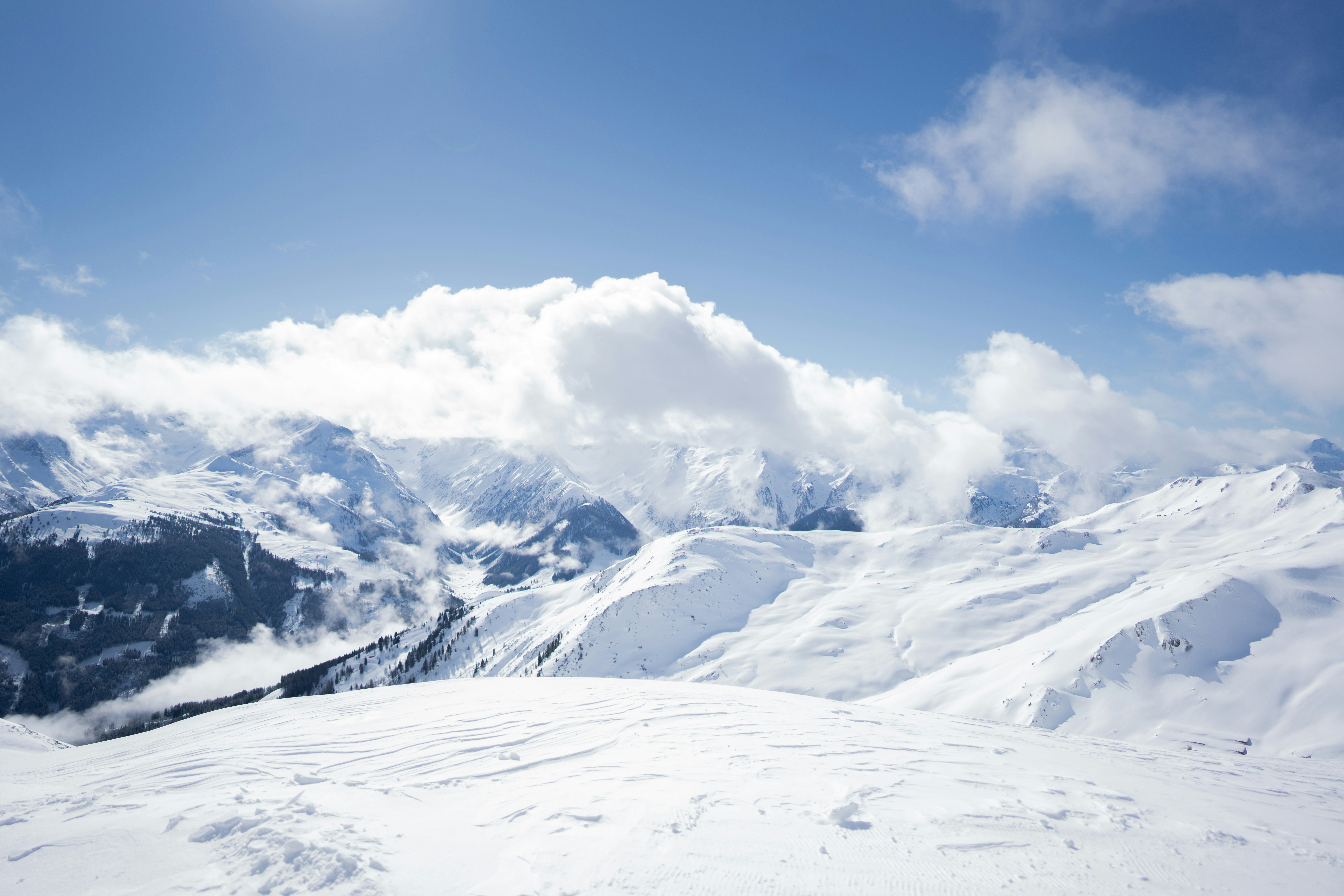 Photo by brunovdkraan