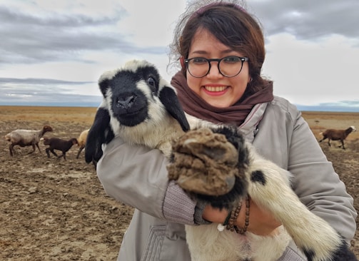 A friendly farm caretaker holding a sheep with a warm smile in a sunny pen