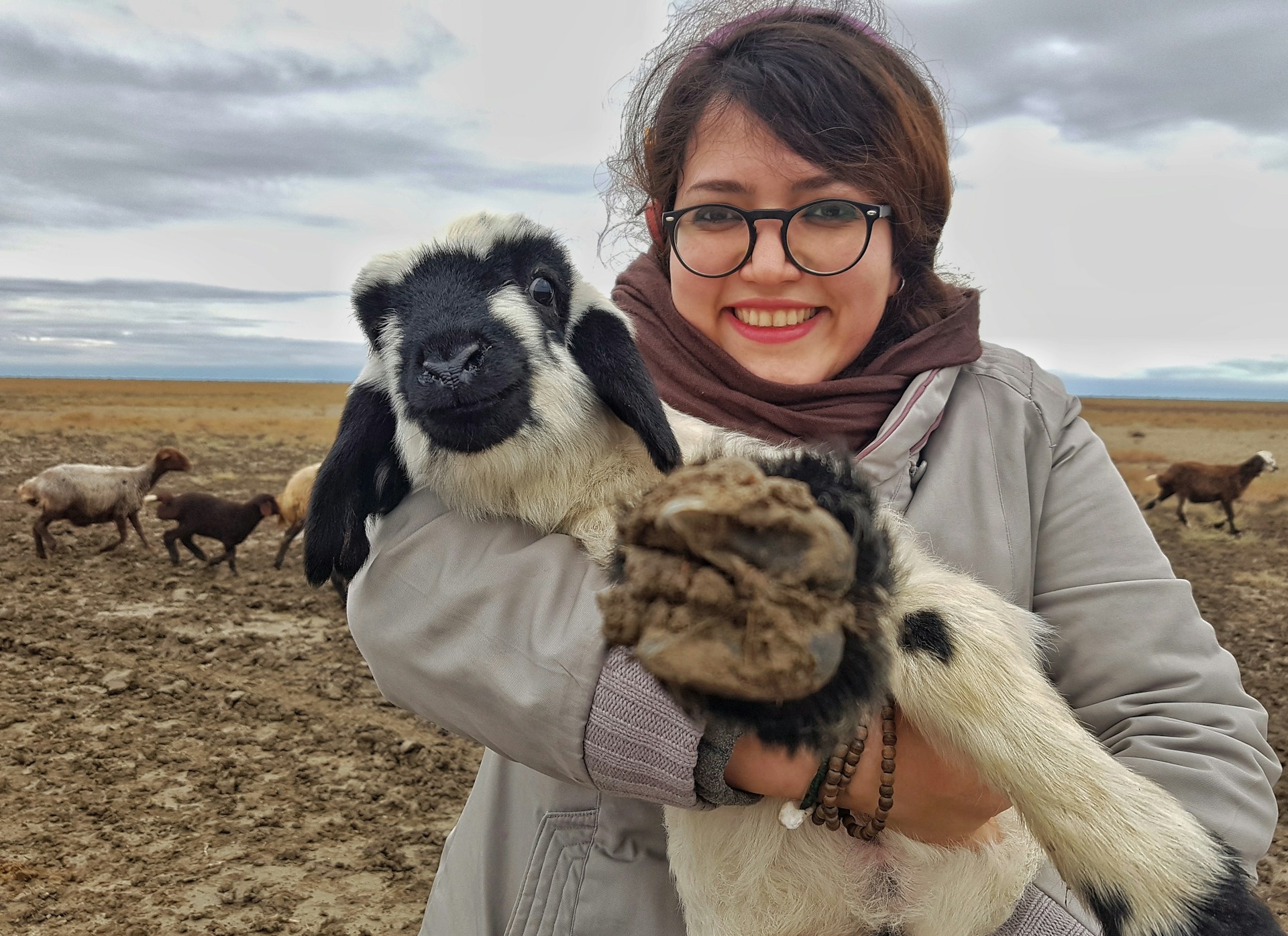 gray computer monitor