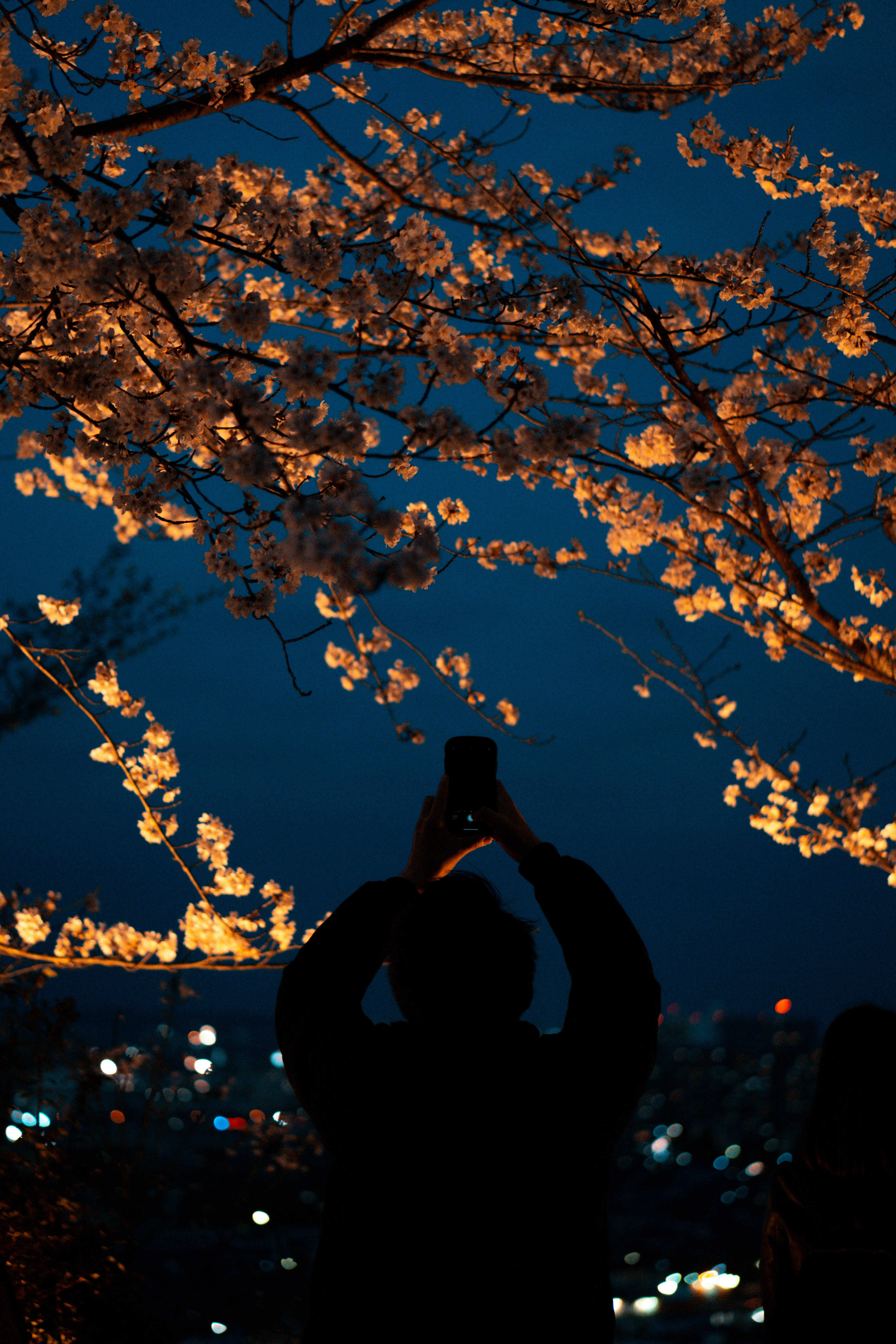 Photo by dianainjapan