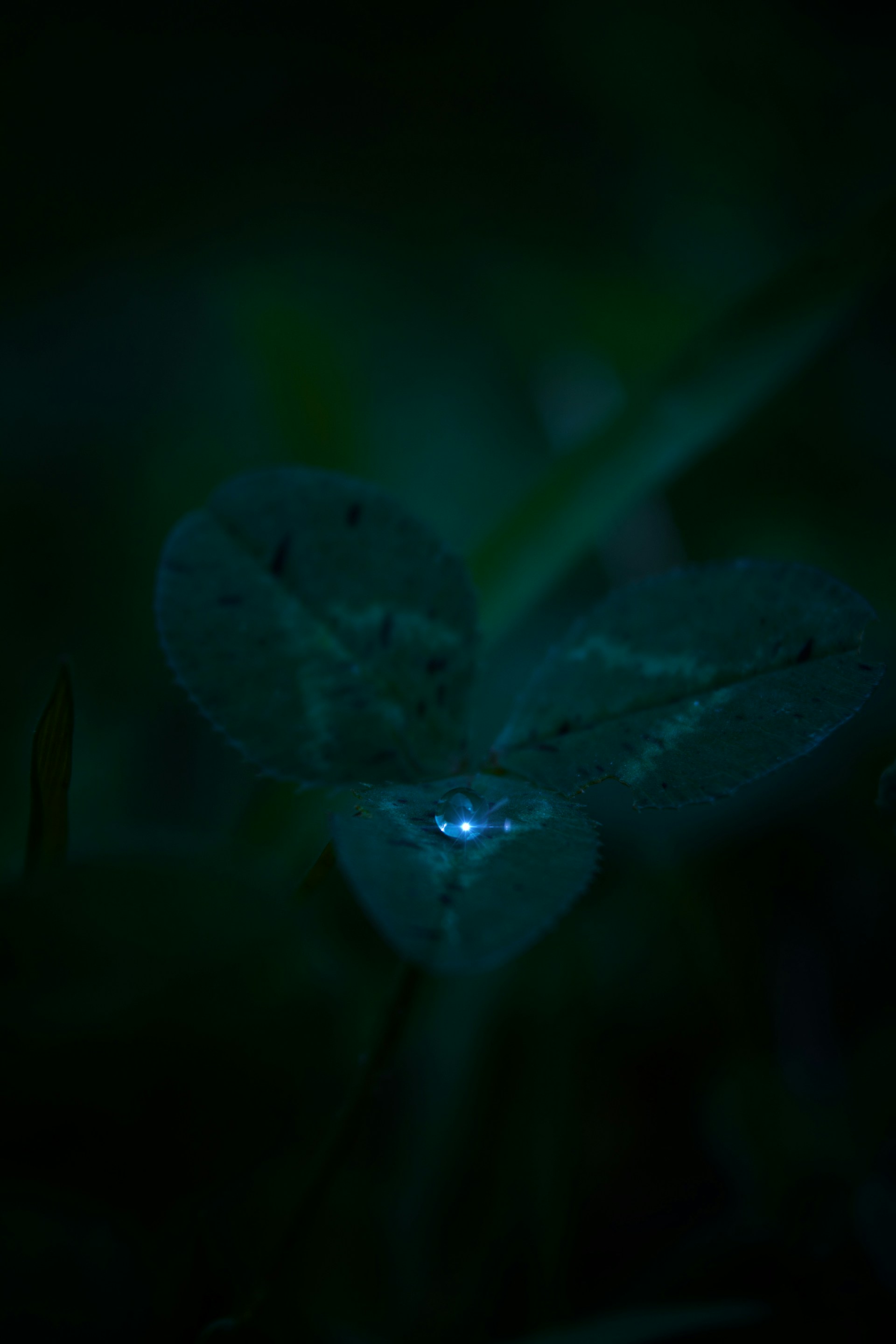 A macro photo of a dewdrop on a leaf, highlighting the detail achievable with mobile photography.