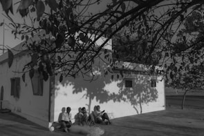 A group of students collaborating on a project under the shade of a large tree.