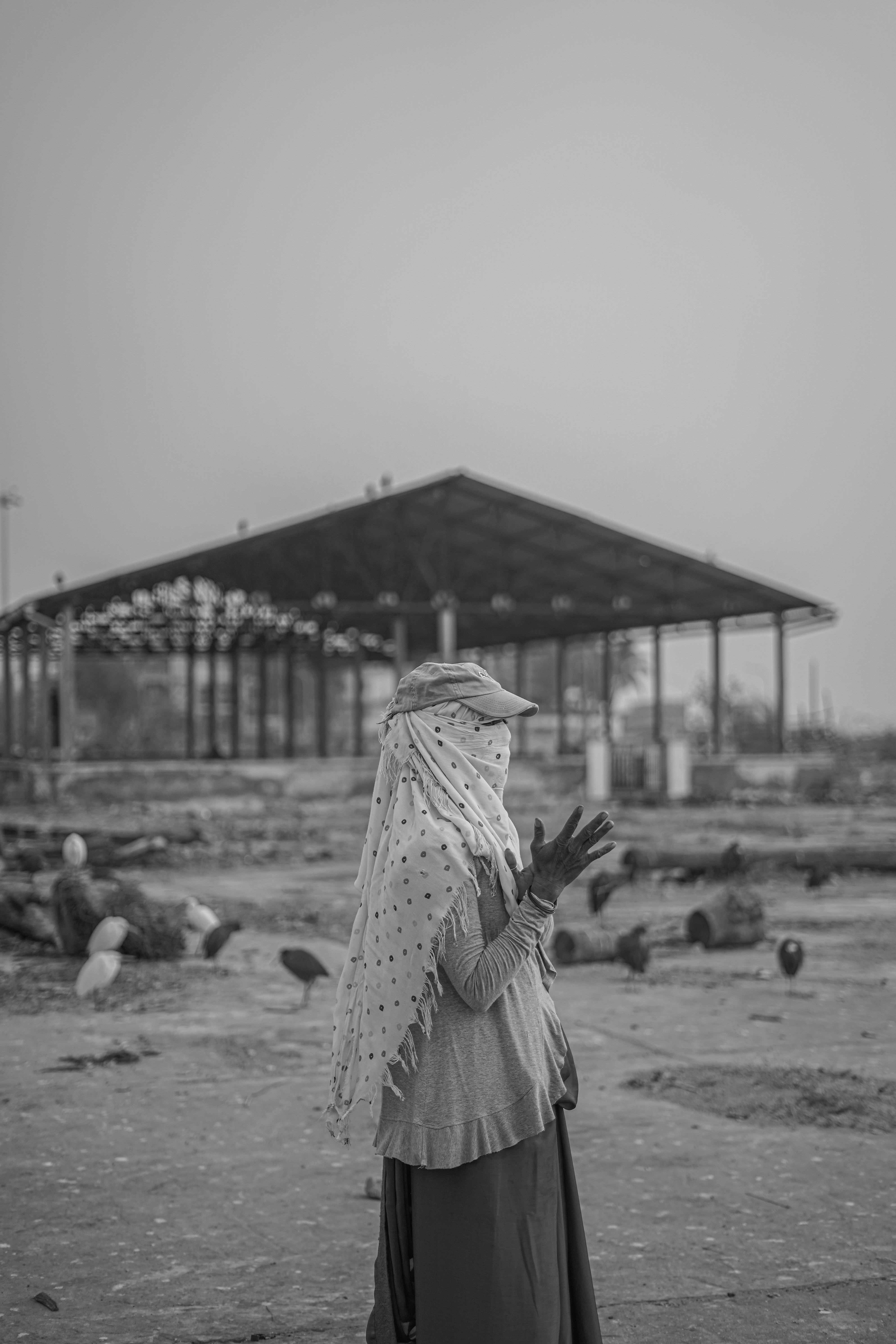 Photo by rushicumar3433