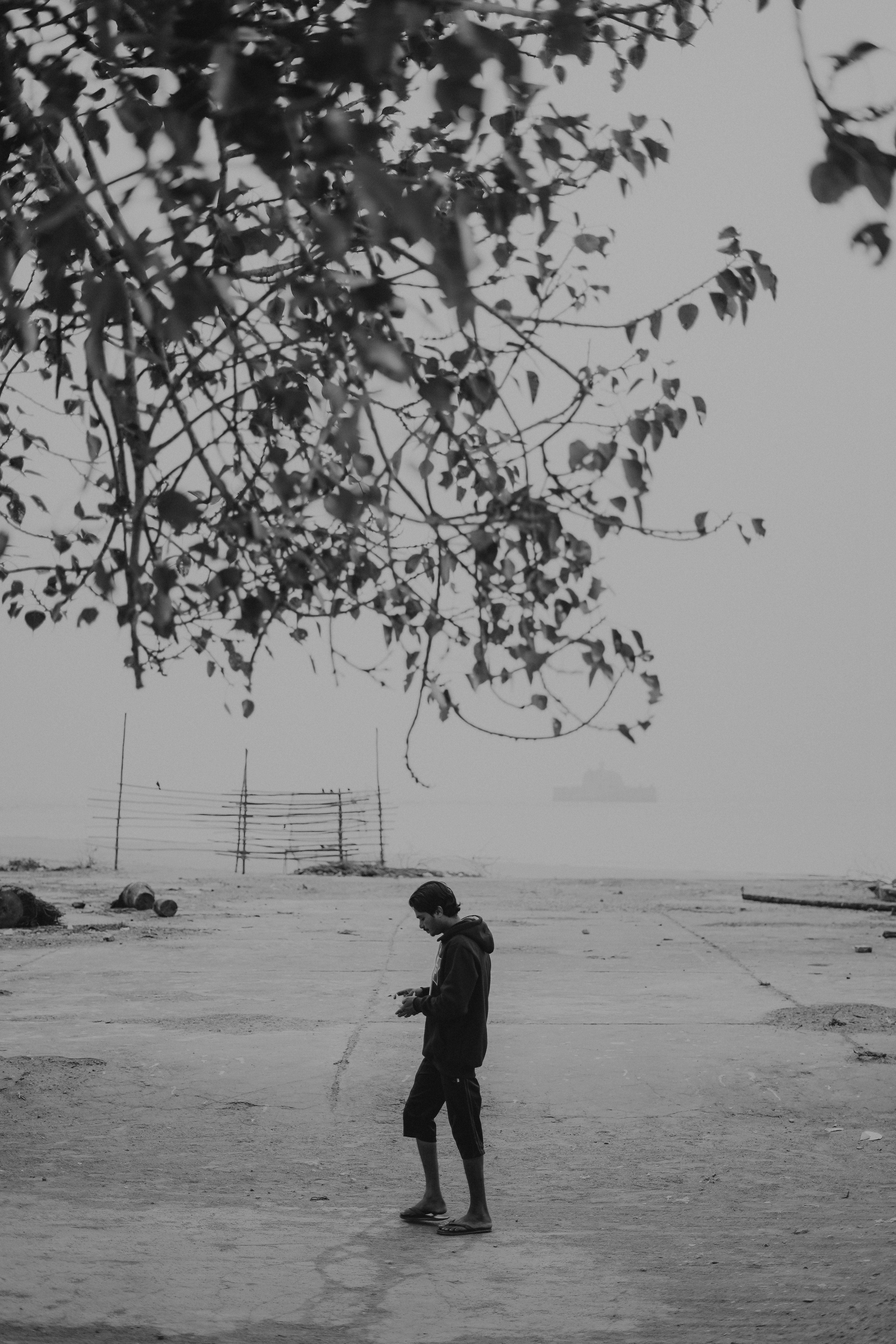 Photo by rushicumar3433