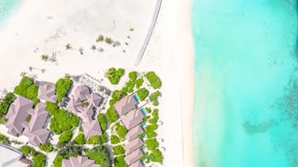 Aerial view of a beachside resort with several buildings surrounded by lush green vegetation. The sandy beach stretches parallel to the coast, leading to vibrant turquoise waters. Scattered palm trees provide a tropical atmosphere.