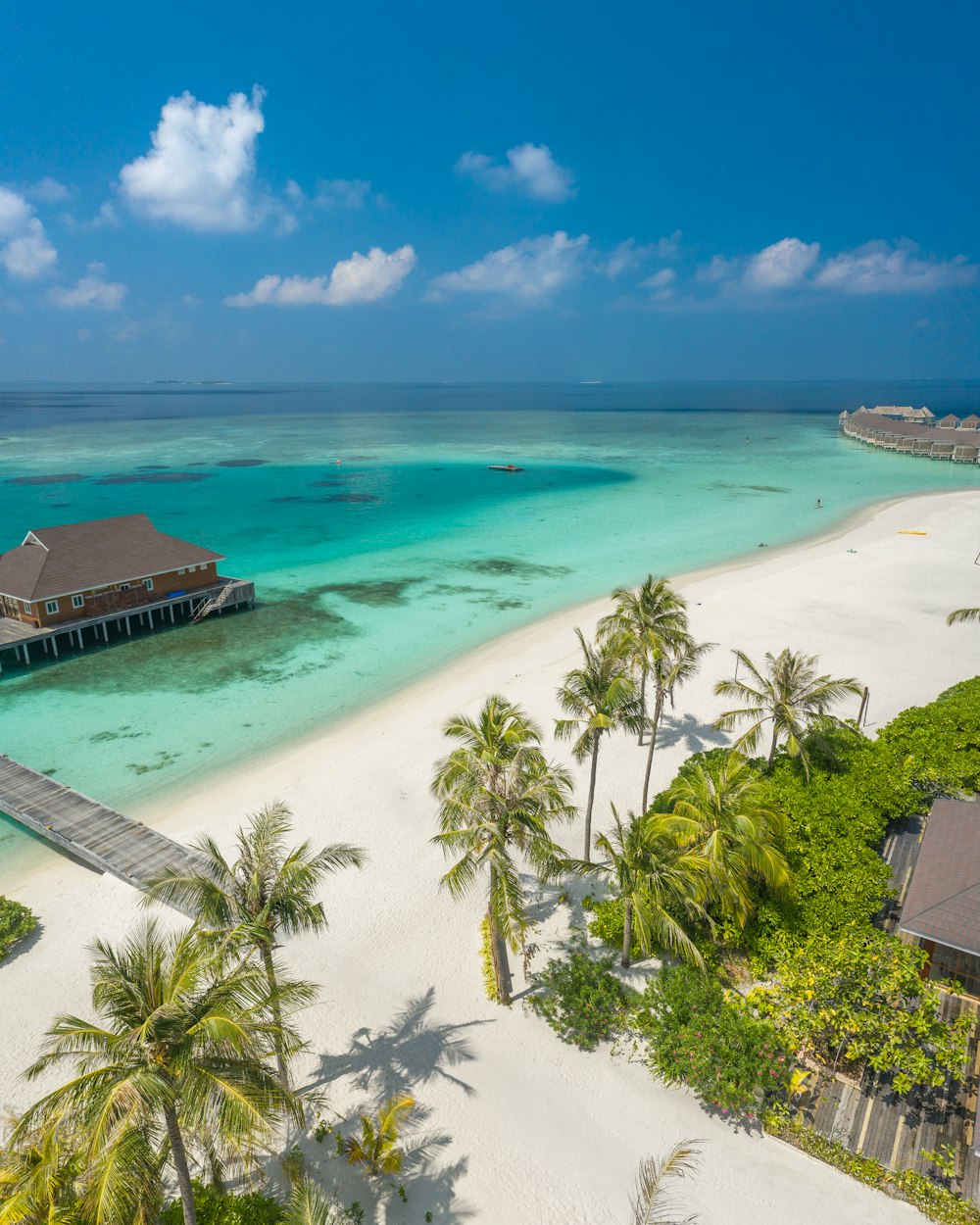 an aerial view of a beach with a pier and palm trees