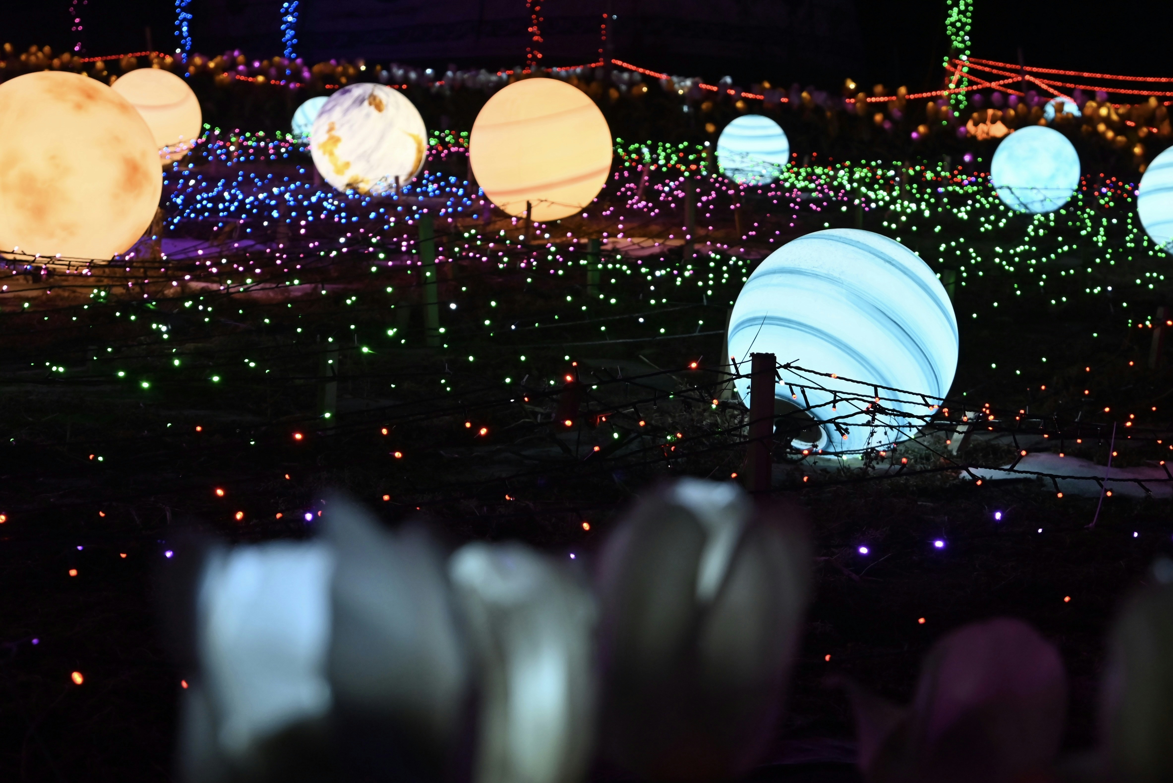 A bunch of lights that are in the grass photo Free Festive lantern