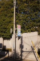 A concrete utility pole stands by a sidewalk bordered with a low concrete wall and greenery. Two signs are attached to the pole: one indicates a speed limit of 30, and the other appears to be a pedestrian zone sign. Shadows from overhead wires and the pole itself stretch across the sidewalk.