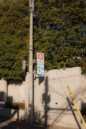 A concrete utility pole stands by a sidewalk bordered with a low concrete wall and greenery. Two signs are attached to the pole: one indicates a speed limit of 30, and the other appears to be a pedestrian zone sign. Shadows from overhead wires and the pole itself stretch across the sidewalk.