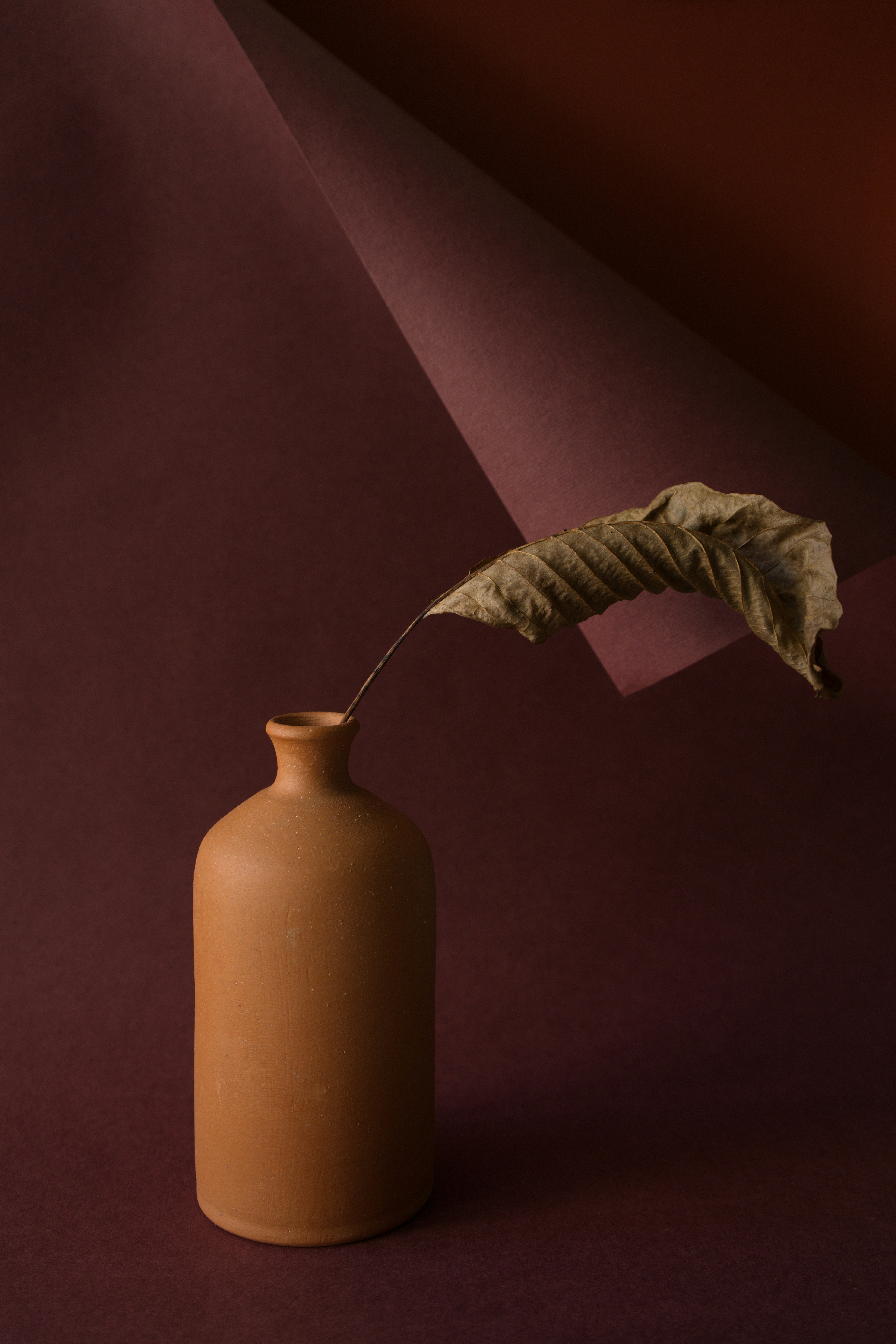 Photo by vikaelefant