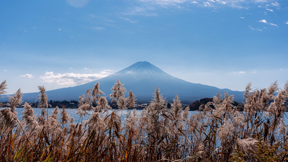 a view of a mountain with a lake in the foreground