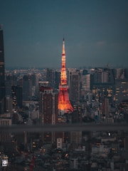 A shield icon glowing over a cityscape, representing comprehensive cyber protection.