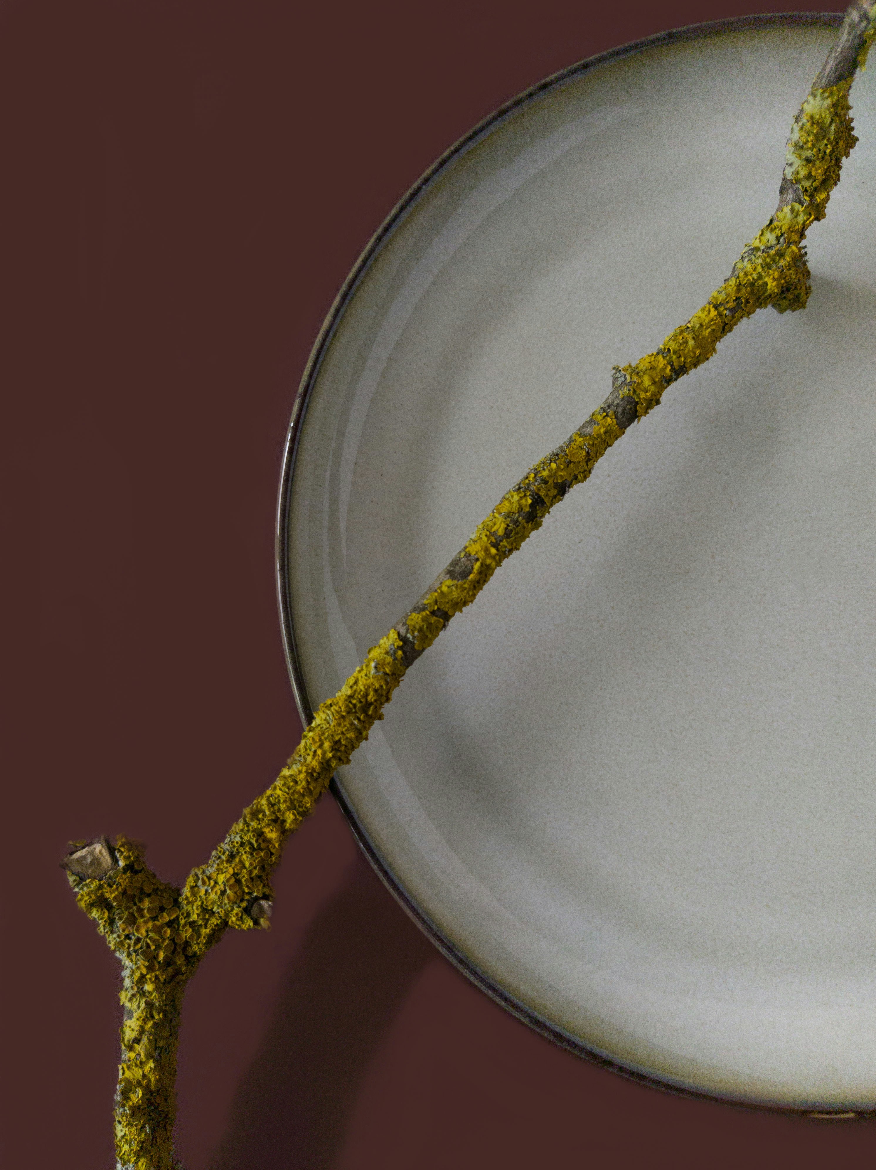 Photo by vikaelefant