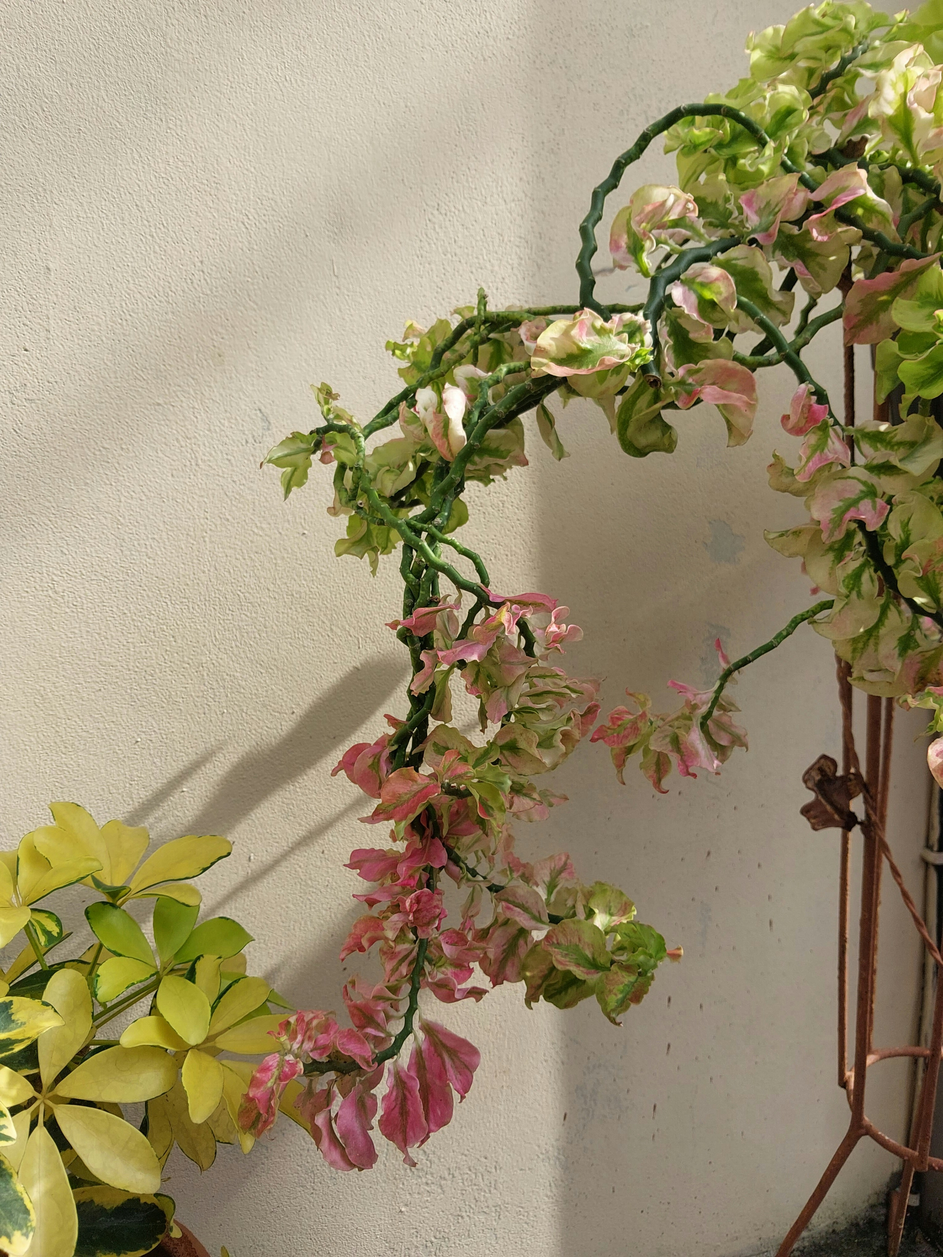 Photo by nindyanggita