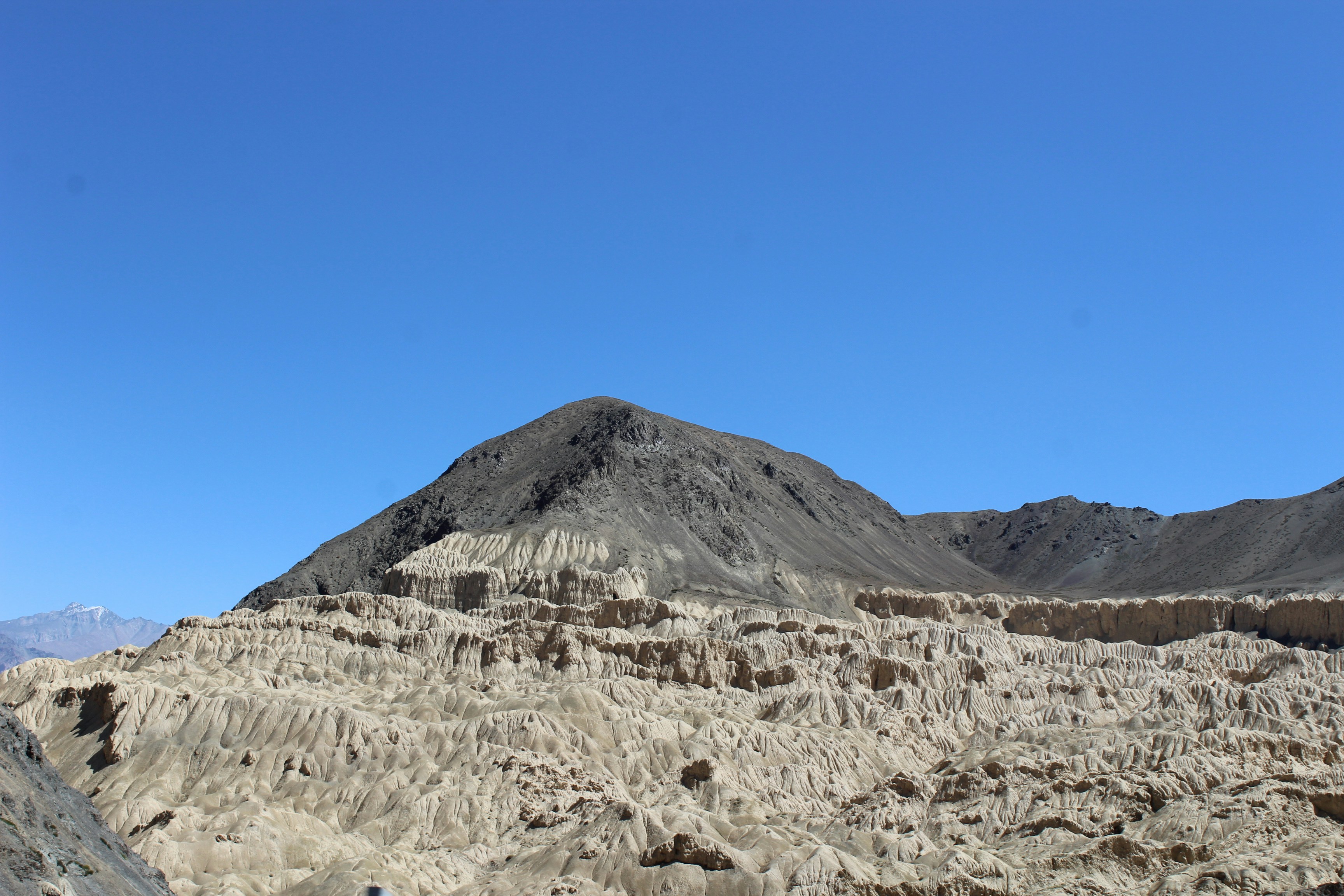 Photo by themeselection