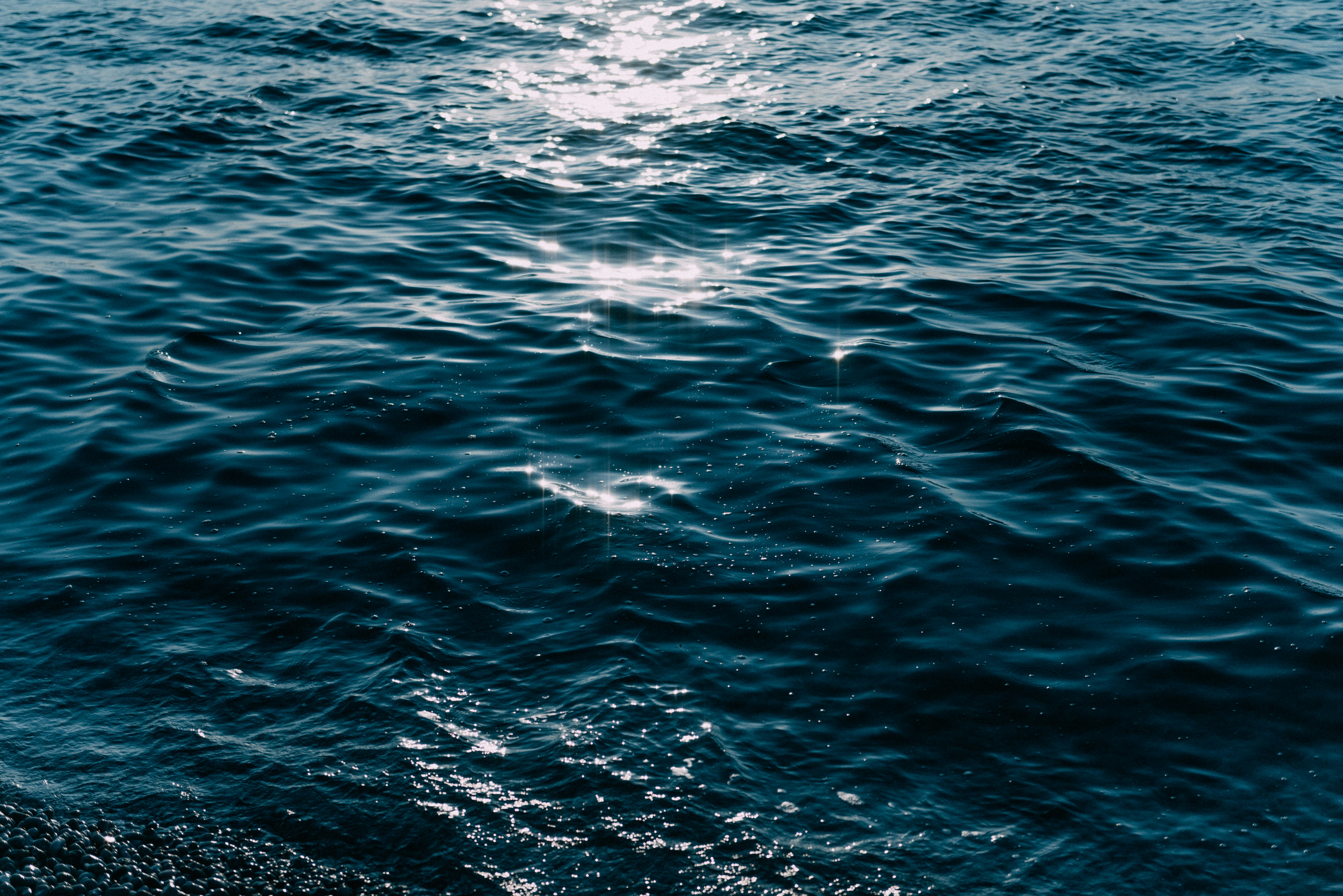 Photo by brunovdkraan