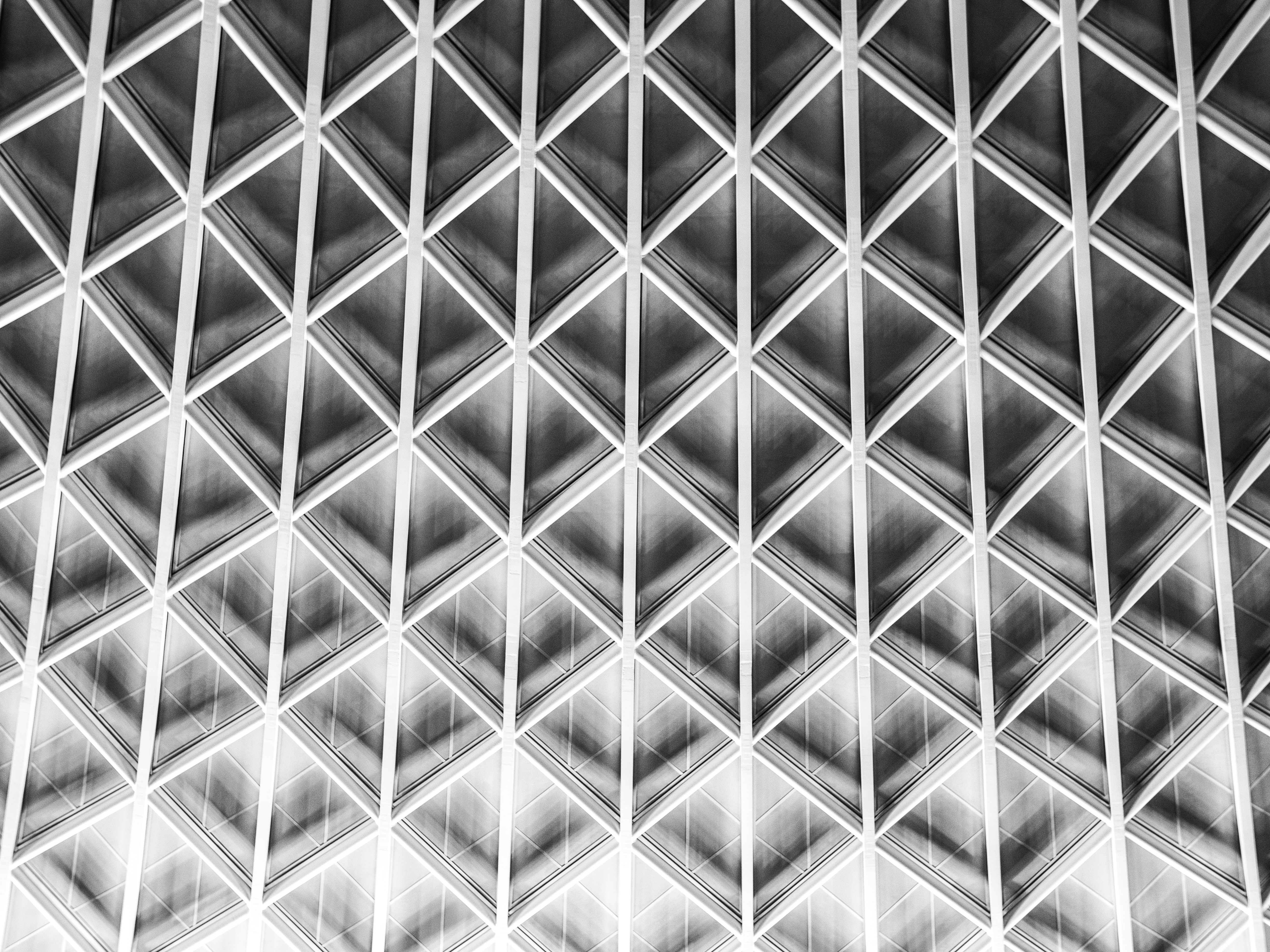 Photo by brunovdkraan