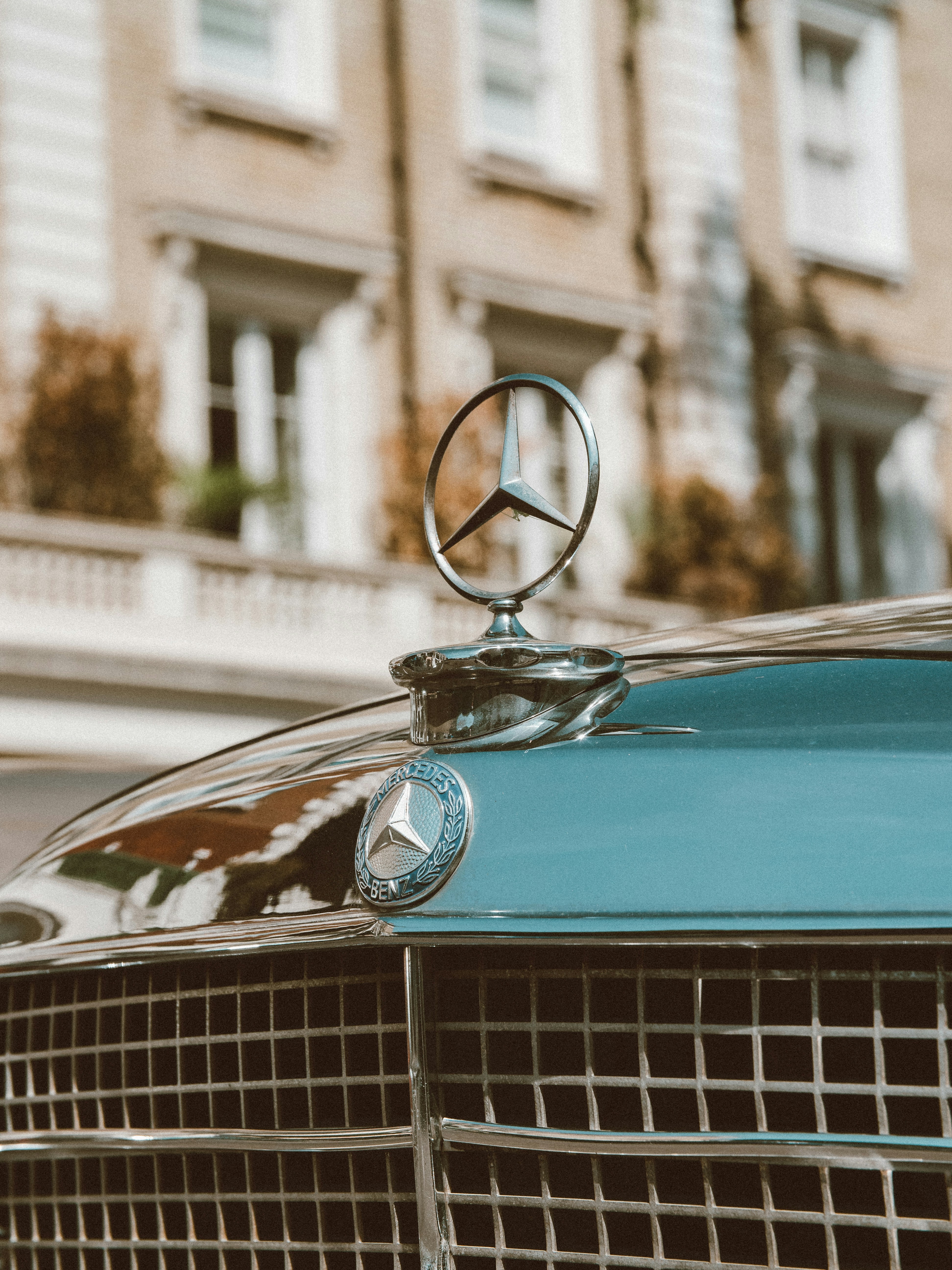 Photo by brunovdkraan