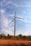 Two large wind turbines stand majestically against a partly cloudy blue sky. They are situated in an open field covered with dry grass and scattered trees, creating a contrast between the clean energy technology and the natural landscape.
