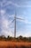 Two large wind turbines stand majestically against a partly cloudy blue sky. They are situated in an open field covered with dry grass and scattered trees, creating a contrast between the clean energy technology and the natural landscape.