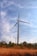 Two large wind turbines stand majestically against a partly cloudy blue sky. They are situated in an open field covered with dry grass and scattered trees, creating a contrast between the clean energy technology and the natural landscape.
