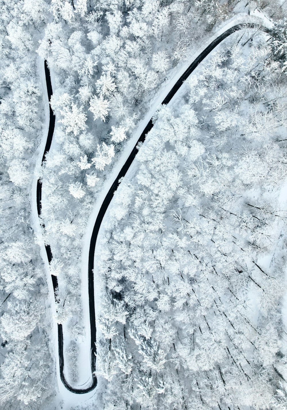 a winding road in the middle of a snow covered forest