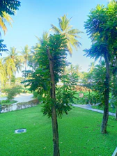Lush green landscaping within the industrial park creating a sustainable atmosphere.