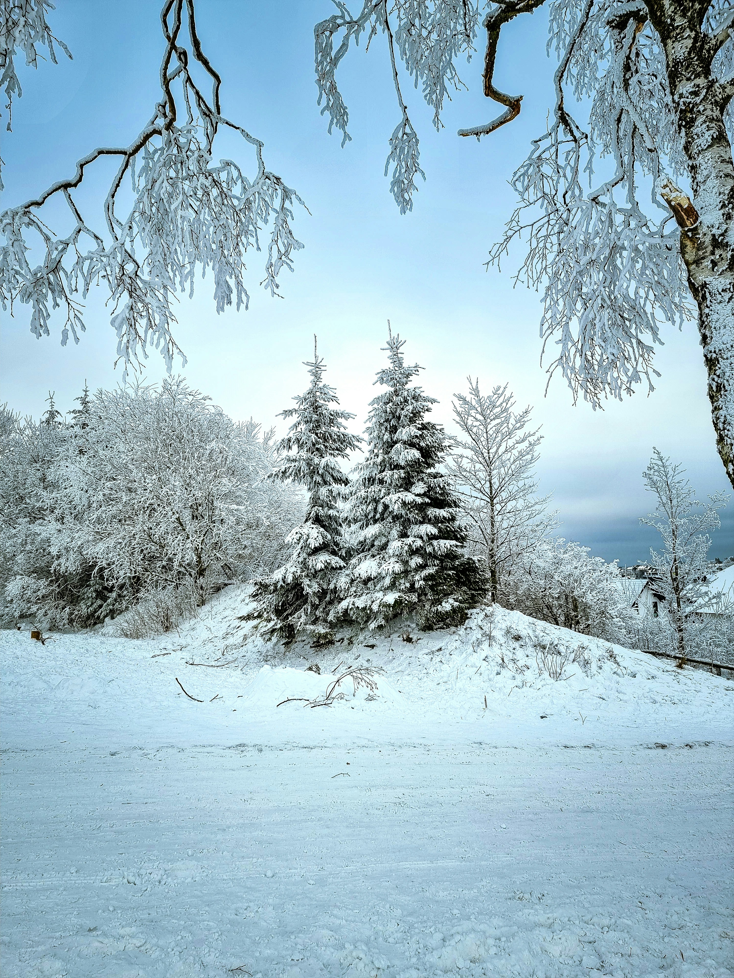 Photo by tharunthejusjp