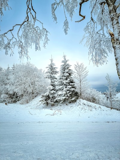 Hjelm og beskyttelse