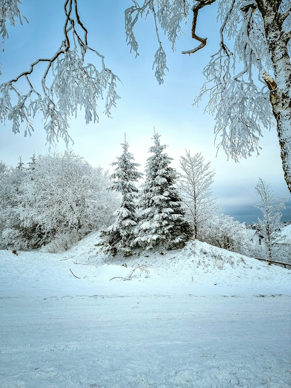 a snow covered field with trees in the background