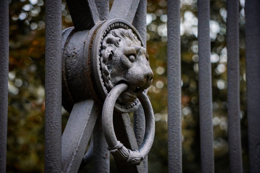 a close up of a lion head on a gate