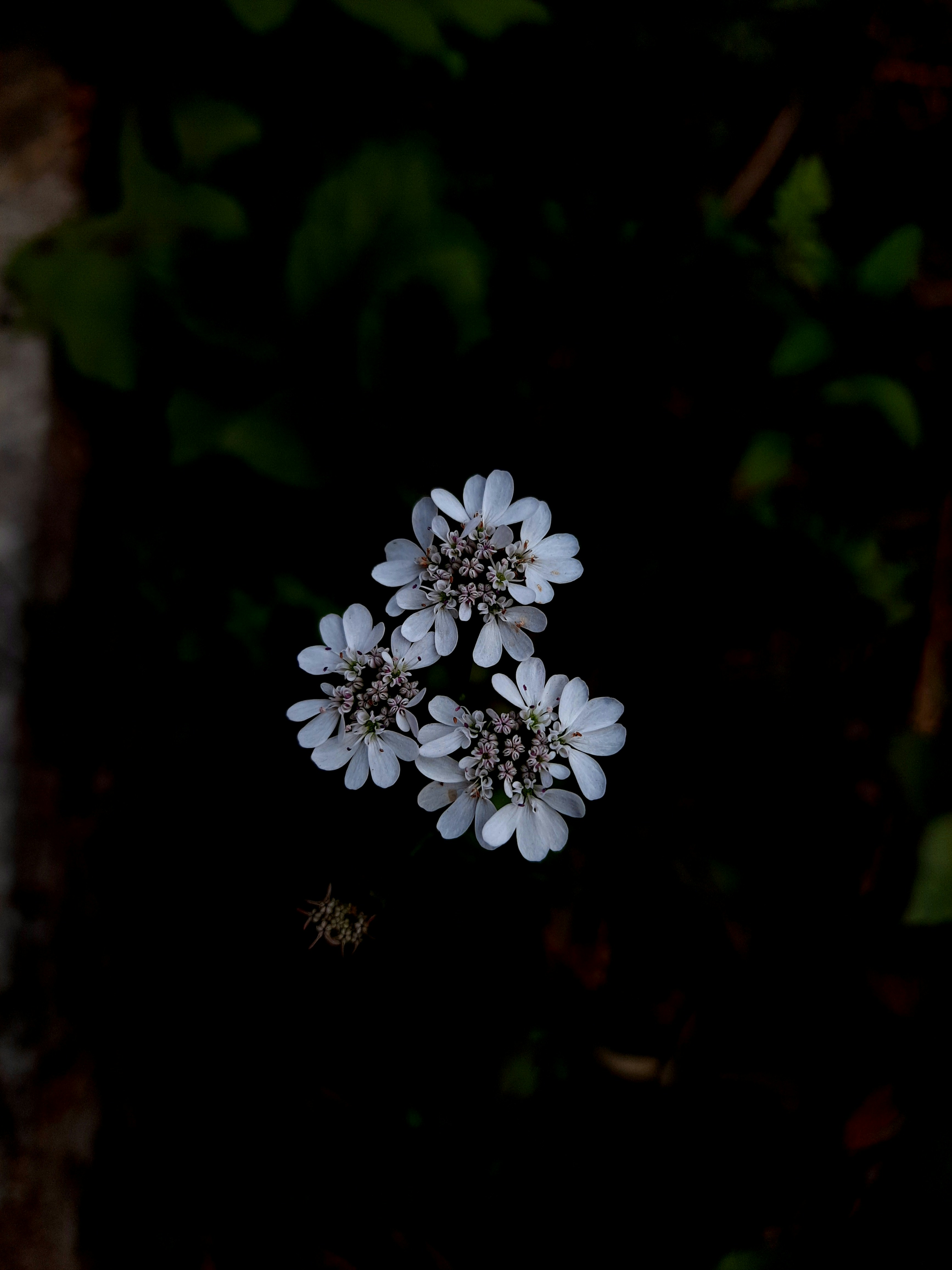 abstract wallpaper 4k black and white, wallpaper, Digital Minimalism: Reclaiming Focus in a Noisy World 6