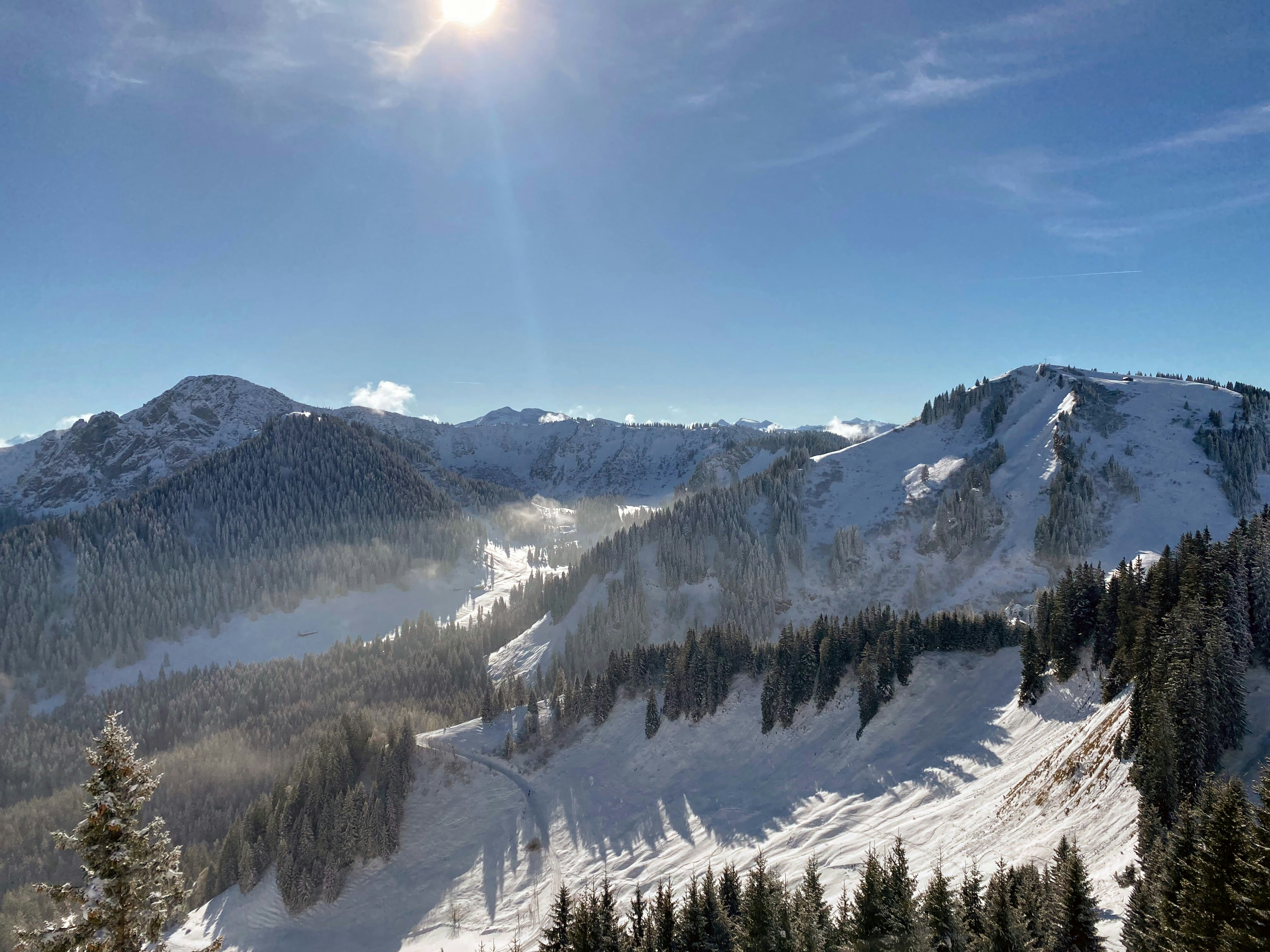 Photo by arroganthamsterlord