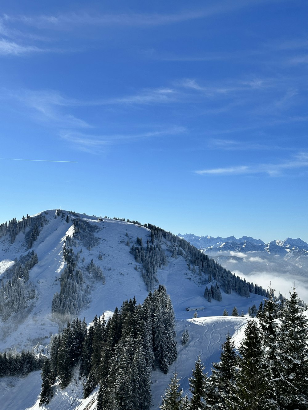 a mountain covered in snow and trees under a blue sky