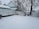 A snow-covered yard featuring a wooden fence and two leafless trees blanketed in snow. The area shows footprints in the snow, suggesting recent activity. In the background, there is a house with a triangular roof partially visible.