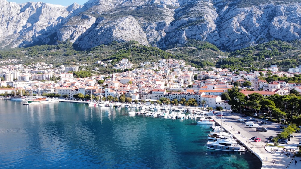 a view of a harbor with boats and mountains in the background