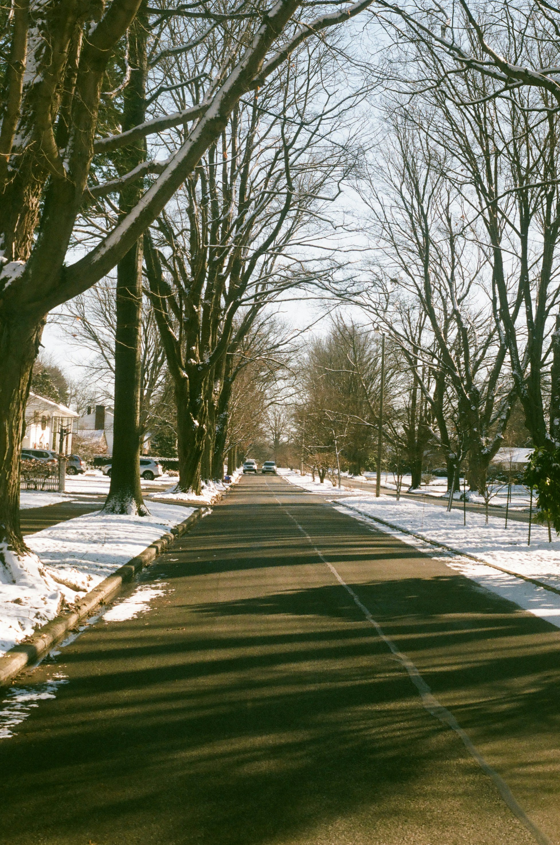 Photo by sydmoore6
