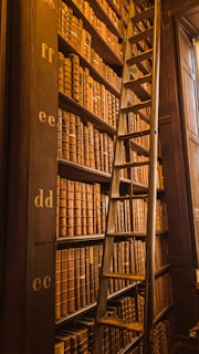 A tall bookshelf filled with a large collection of antique books, organized by lettered sections from top to bottom. A wooden ladder leans against the bookshelf, providing access to the higher shelves. The overall atmosphere is warm, with a golden glow illuminating the scene, suggesting an old, historic library.