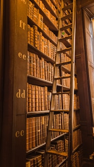 A tall bookshelf filled with a large collection of antique books, organized by lettered sections from top to bottom. A wooden ladder leans against the bookshelf, providing access to the higher shelves. The overall atmosphere is warm, with a golden glow illuminating the scene, suggesting an old, historic library.