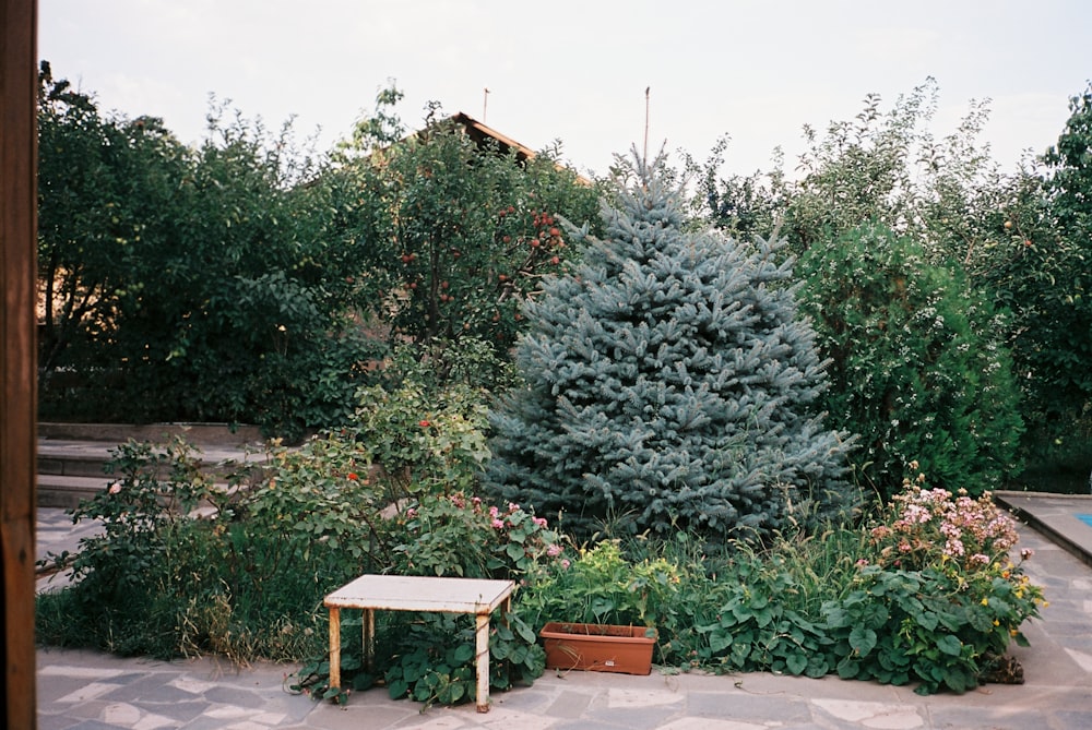 a garden area with a bench, potted plants, and trees