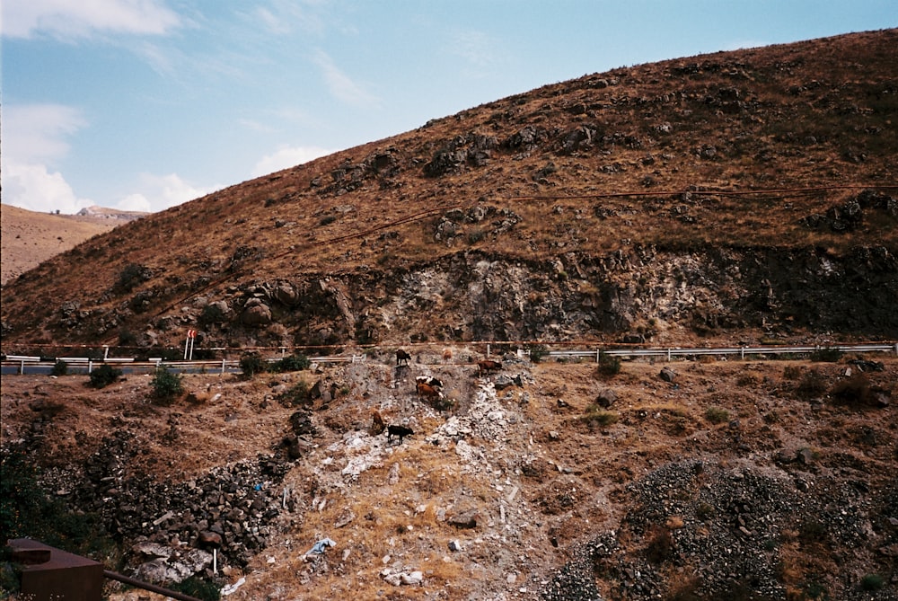 a hill with a road going up the side of it