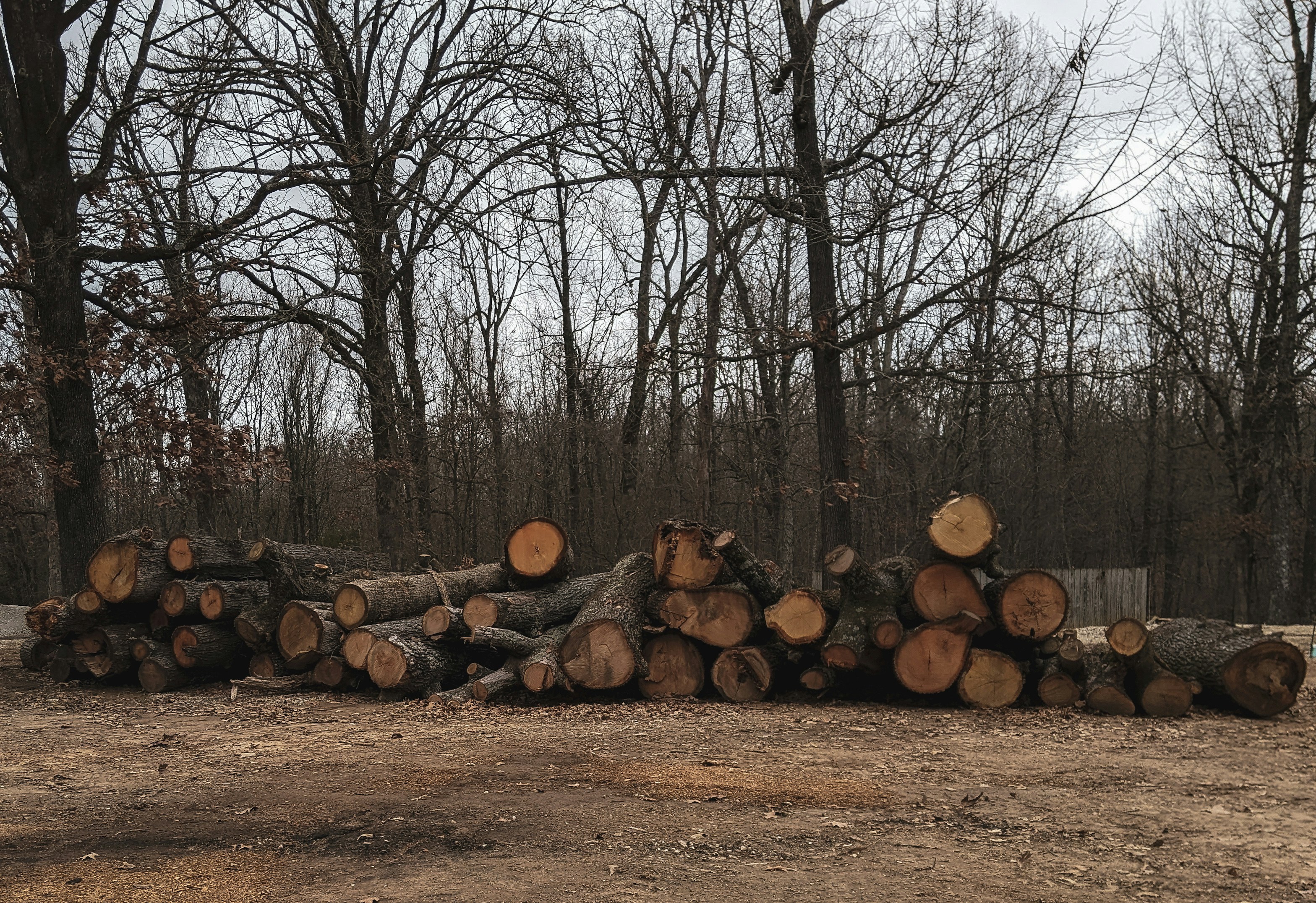 AR Goggles and Cultural Friction in 2026: A Critic’s Guide to Design, Policy, and Public Use