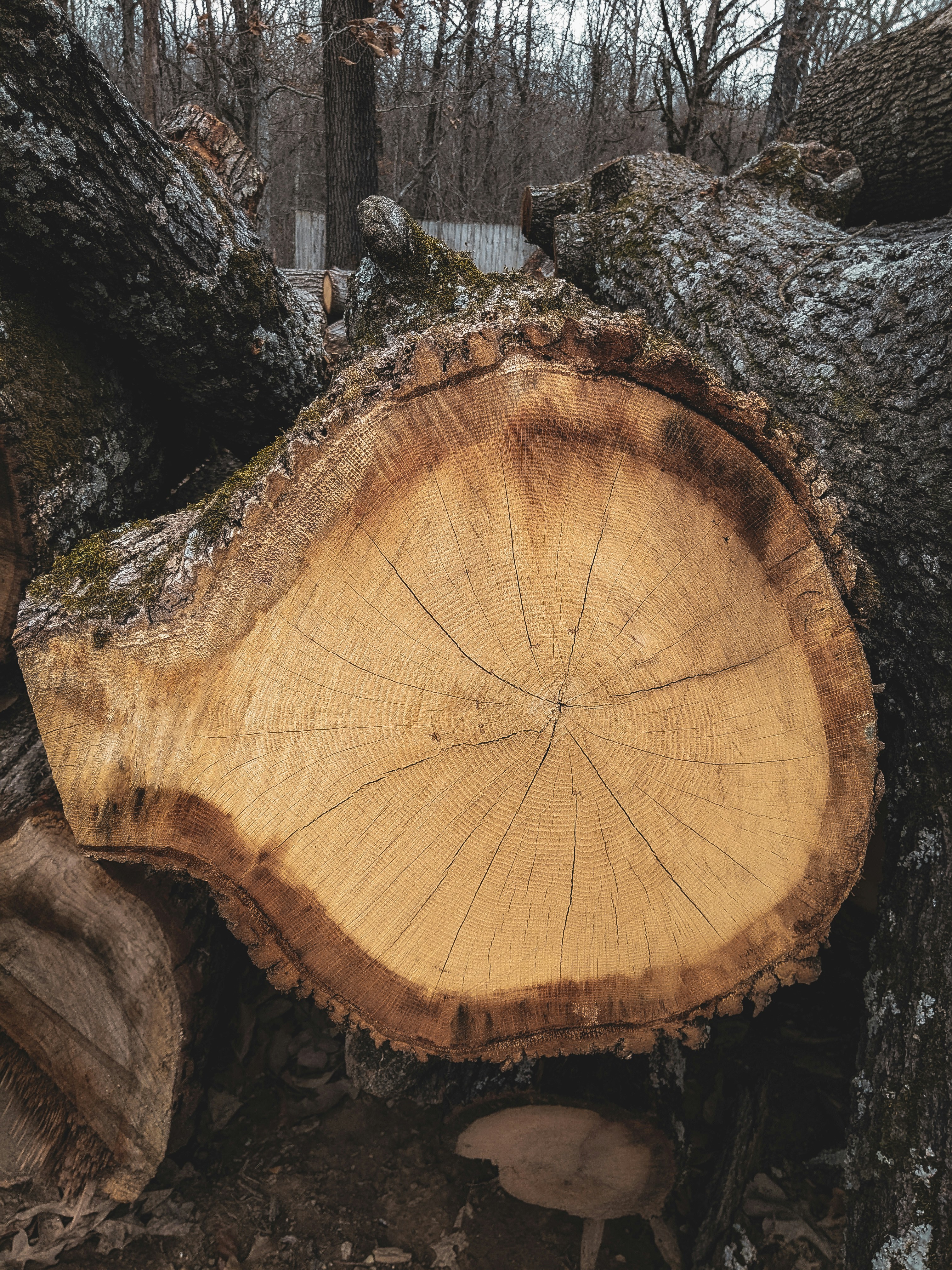 Advanced Strategy: Using AR Tyre Fitment Demos and Local Discovery Apps to Boost Shop Conversions (2026)